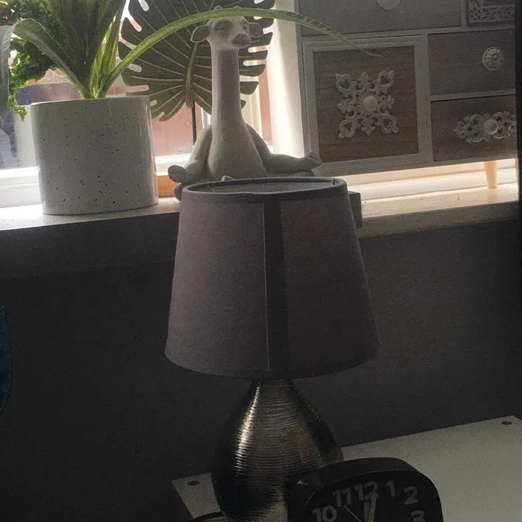 Window and plants in the counselling room
